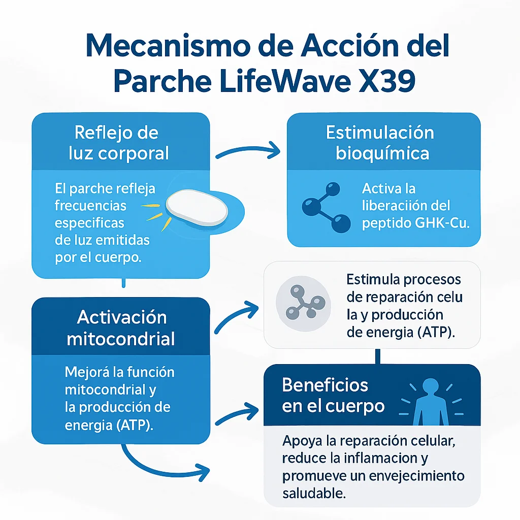 Diagrama de funcionamiento del parche LifeWave X39 y GHK-Cu